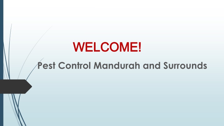 Best Termite Inspections in Wannanup