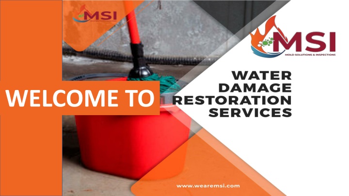 Welcome To Water Damage Restoration