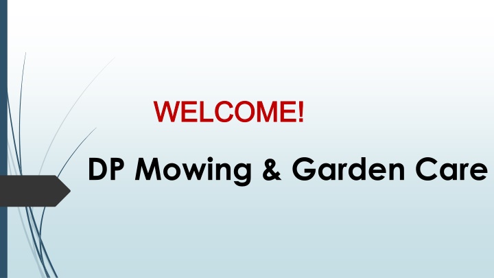 Best Hedge Trimming in Mernda