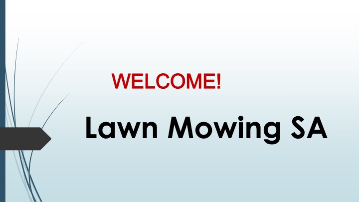 Best Turfing in Marleston