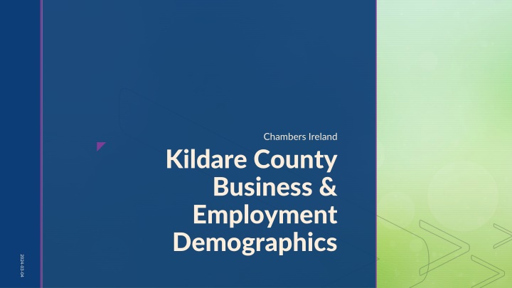 Insights into Kildare County Business and Employment Demographics 2024