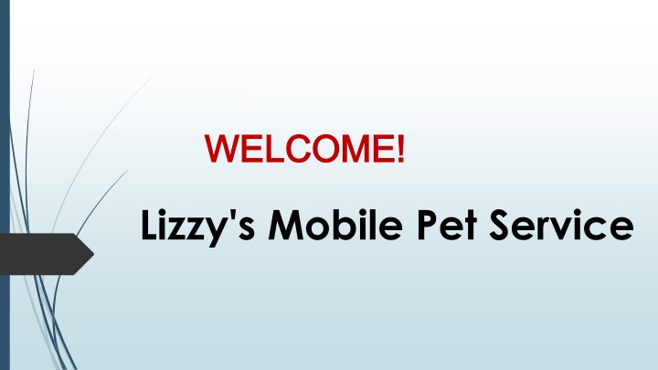 Best Mobile Dog Grooming in Port Kennedy