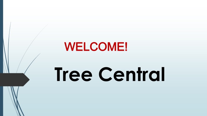 Best Tree Removal in Pangatotara