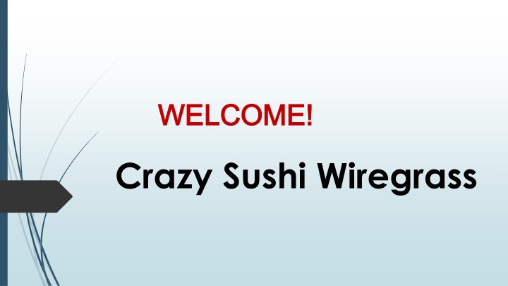 Best Japanese Restaurant in The Lakes at Northwood