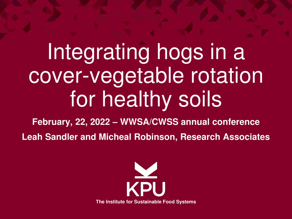 integrating hogs in a cover vegetable rotation n.w