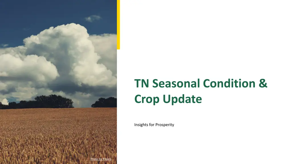tn seasonal condition crop update n.w