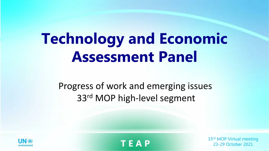 technology and economic assessment panel n.w
