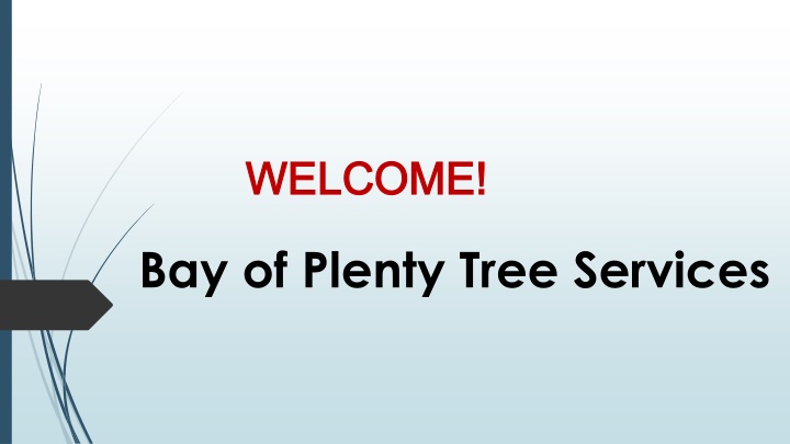 Best Arborist in Te Puna