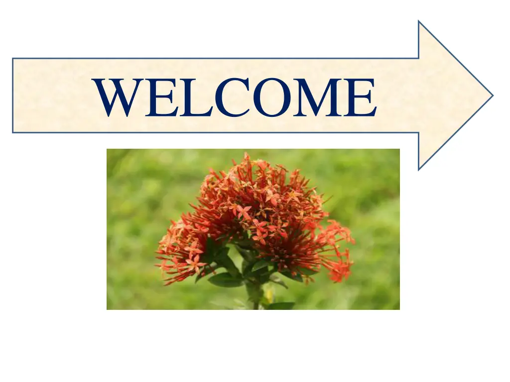 welcome n.w