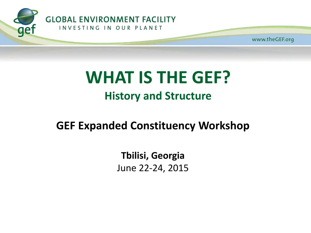 what is the gef history and structure n.w