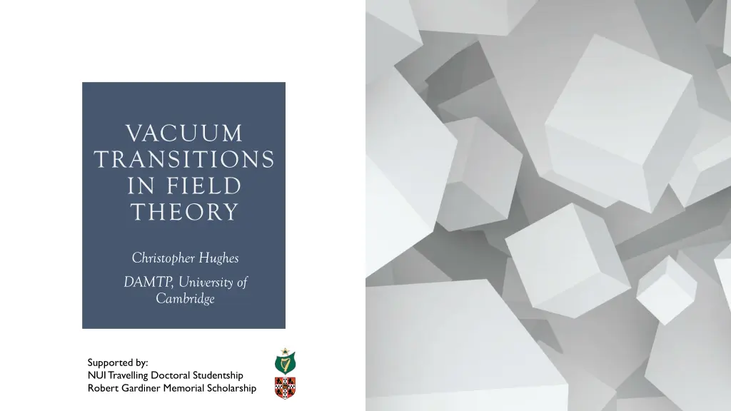vacuum transitions in field theory n.w