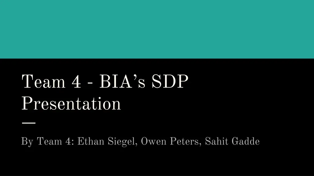 team 4 bia s sdp presentation n.w