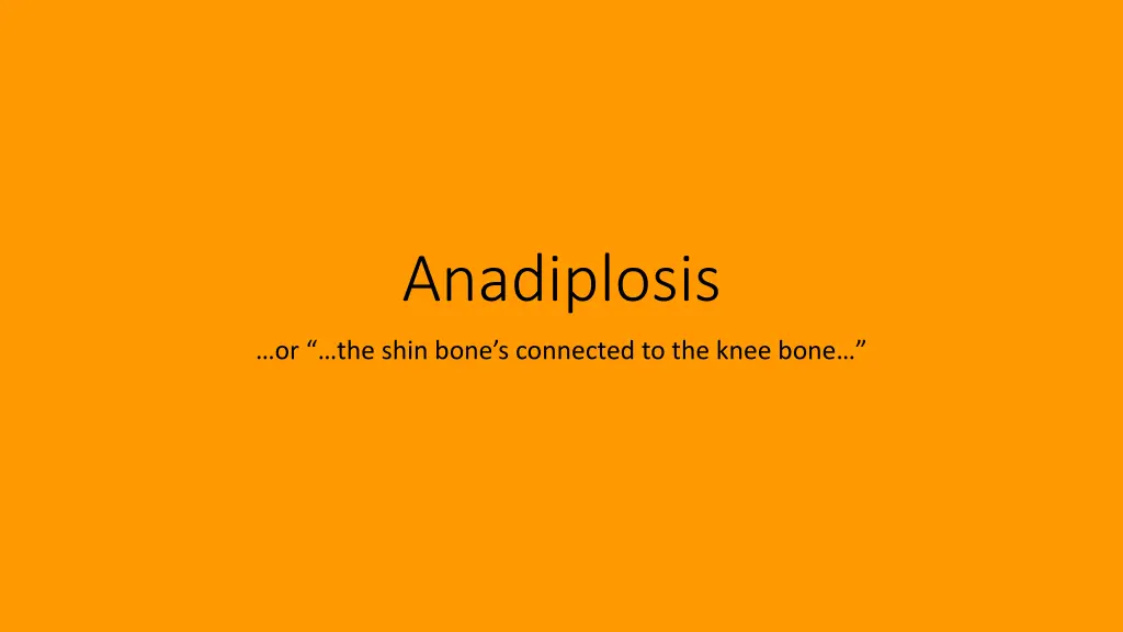 anadiplosis n.w