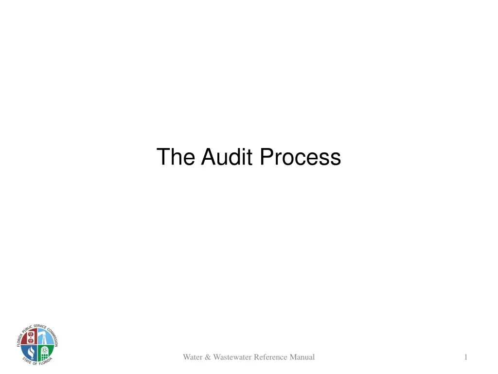 the audit process n.w