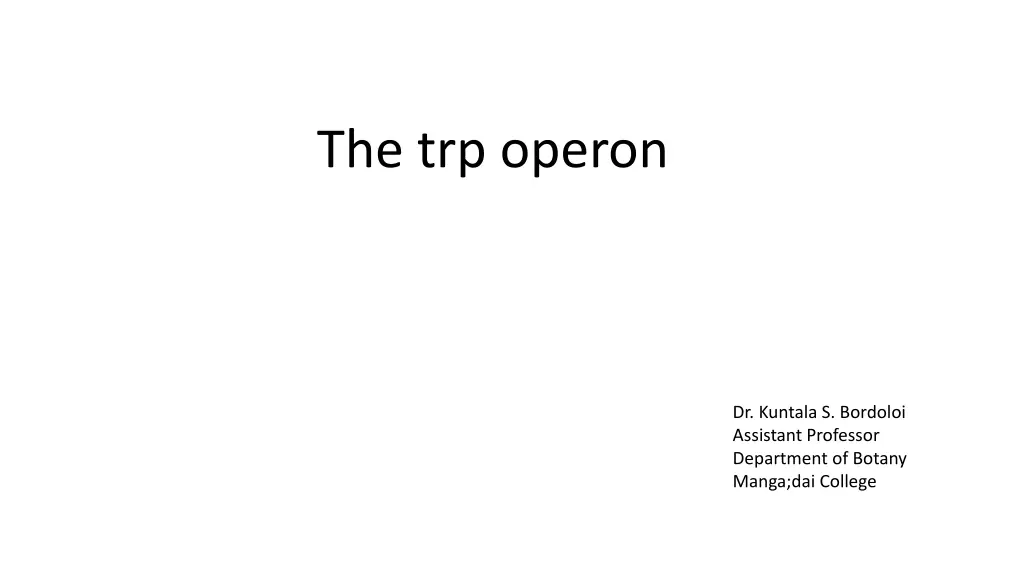 the trp operon n.w