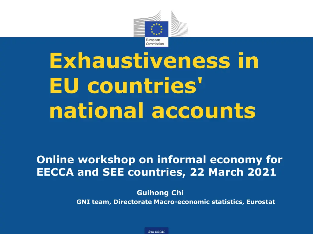 exhaustiveness in eu countries national accounts n.w
