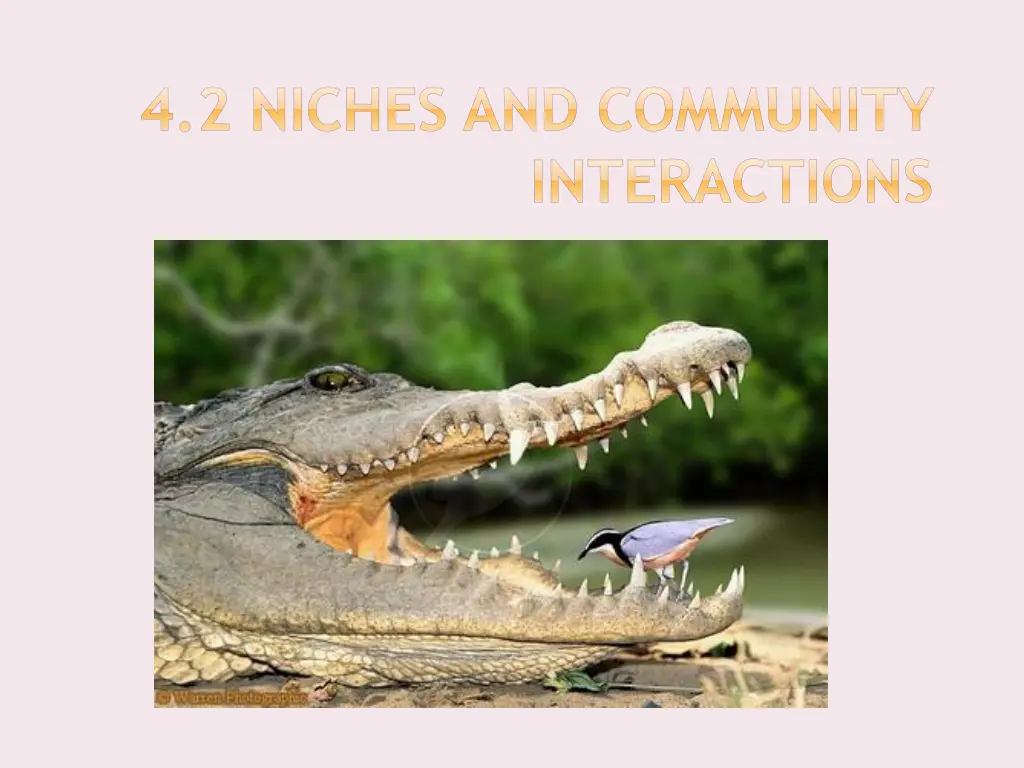4 2 niches and community interactions n.w