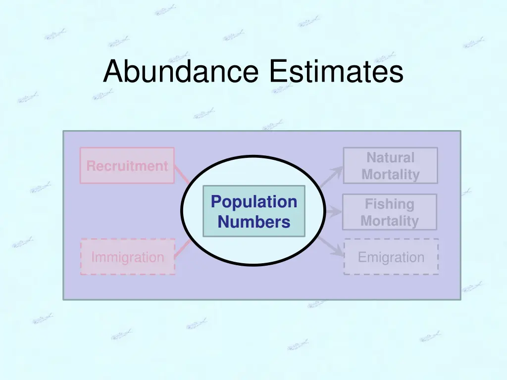 abundance estimates n.w