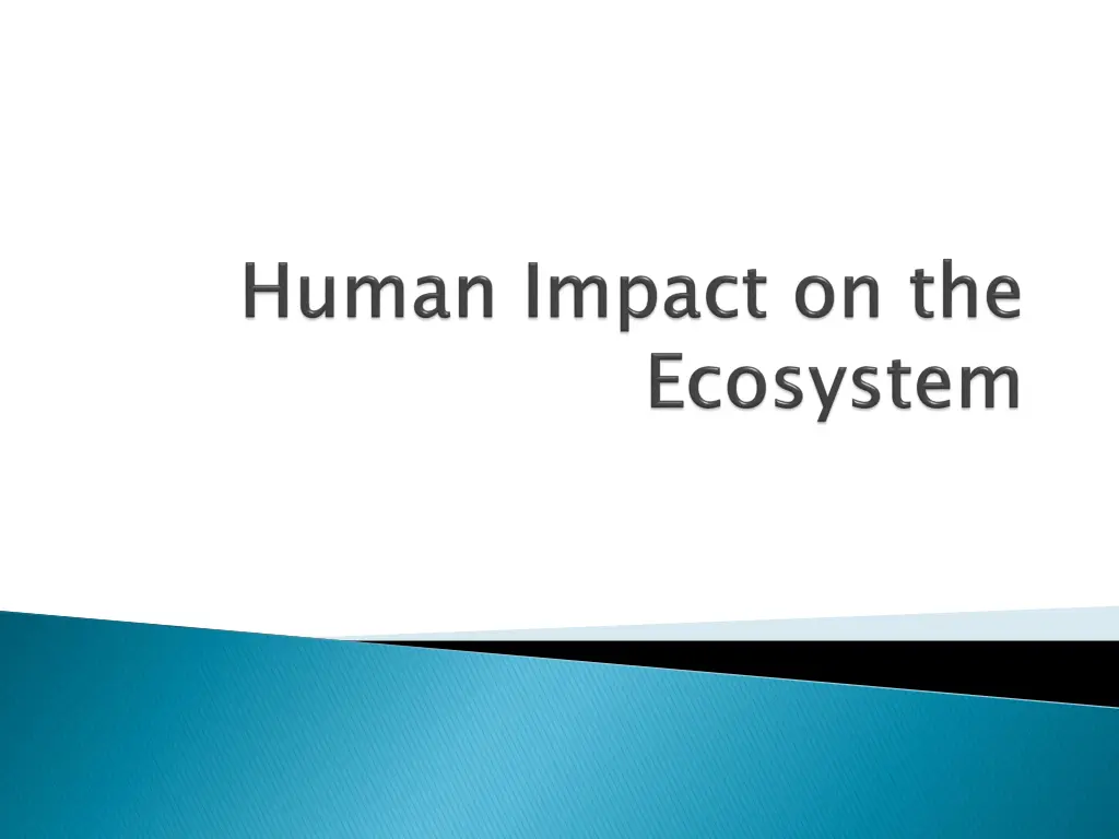 slide1 n.w