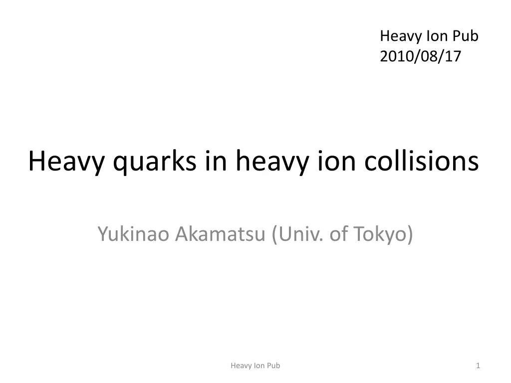 heavy ion pub 2010 08 17 n.w