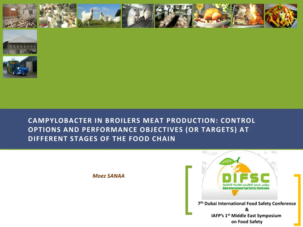 campylobacter in broilers meat production control n.w