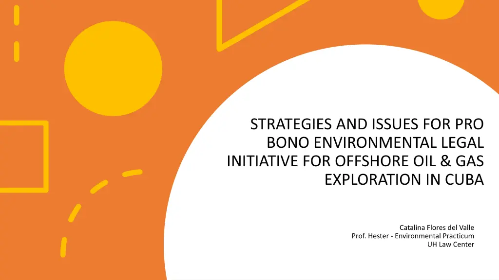 strategies and issues for pro bono environmental n.w