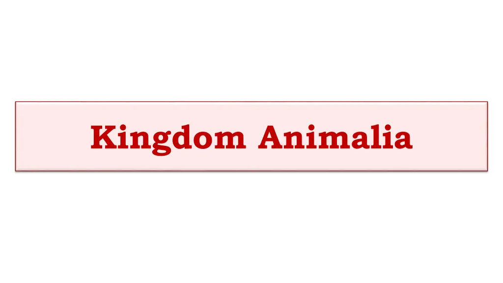 kingdom animalia n.w