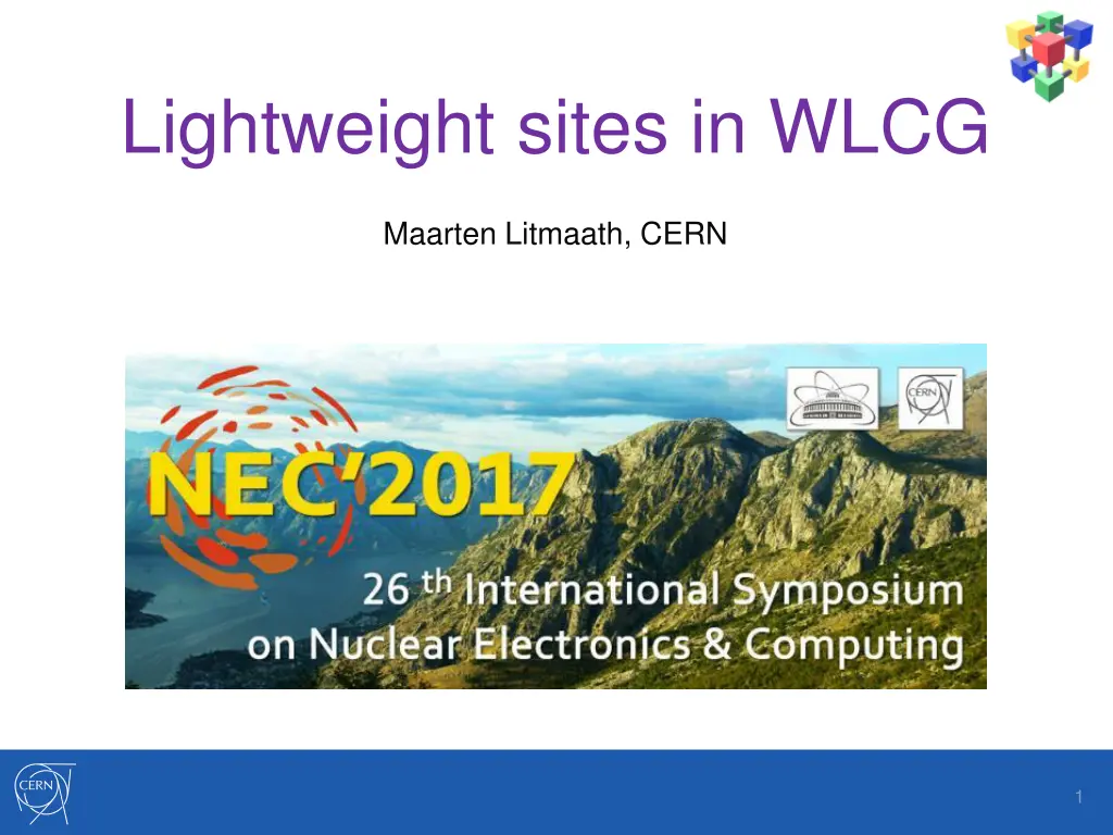 lightweight sites in wlcg n.w