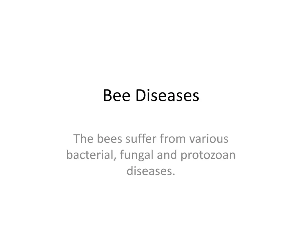 bee diseases n.w