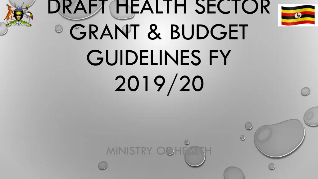 draft health sector grant budget guidelines n.w