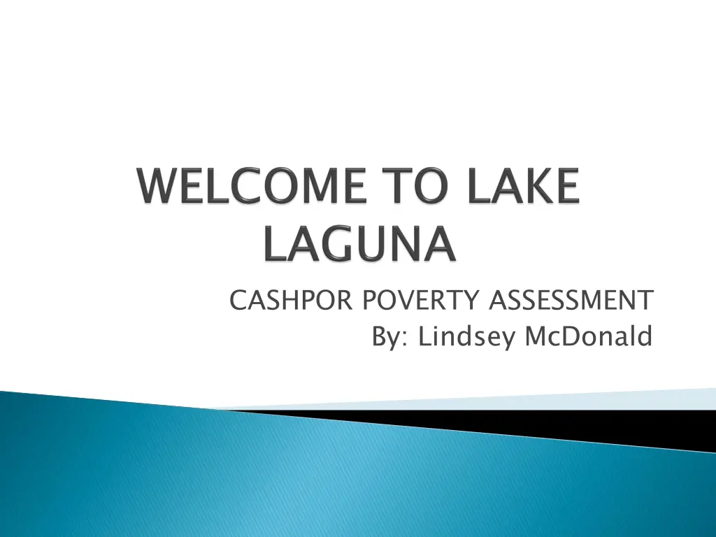 cashpor poverty assessment by lindsey mcdonald n.w