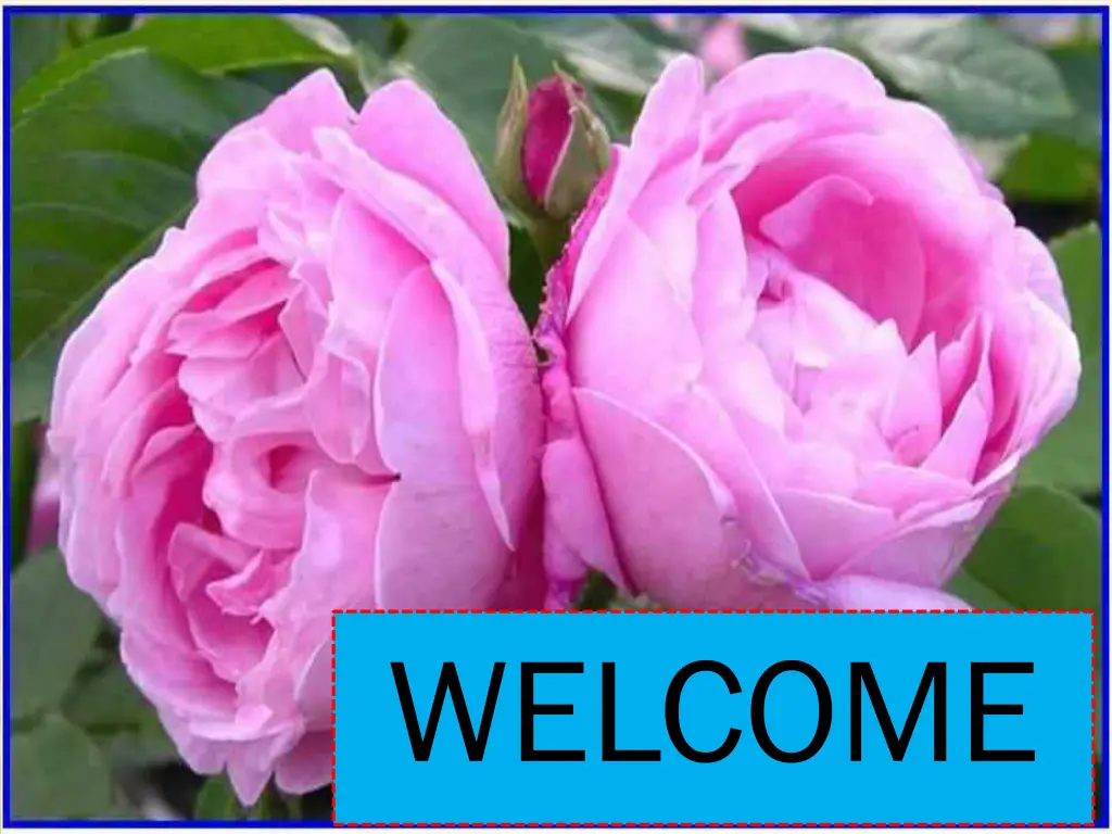 welcome n.w