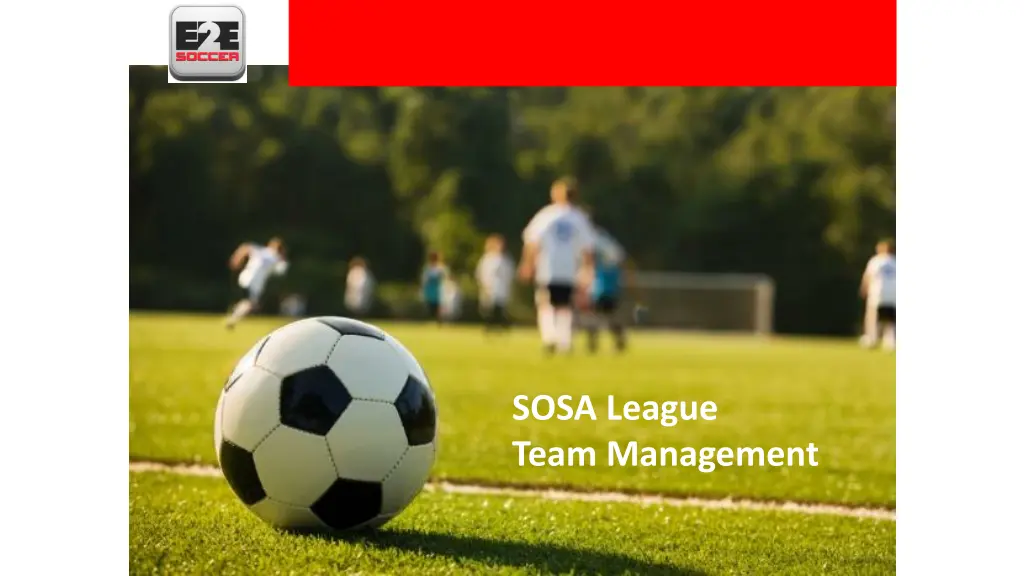 sosa league team management n.w