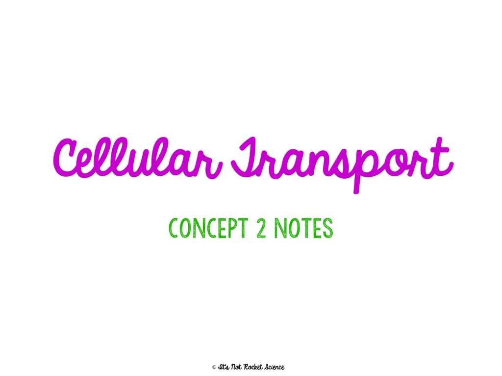 slide1 n.w
