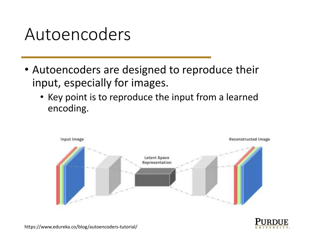autoencoders n.w