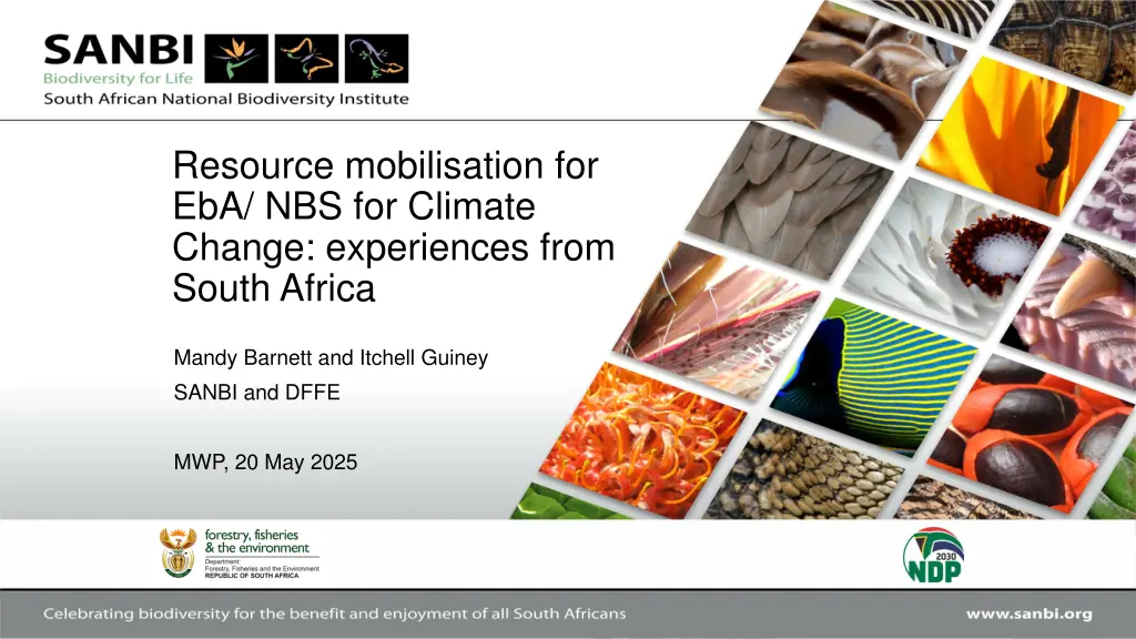 resource mobilisation for eba nbs for climate n.w