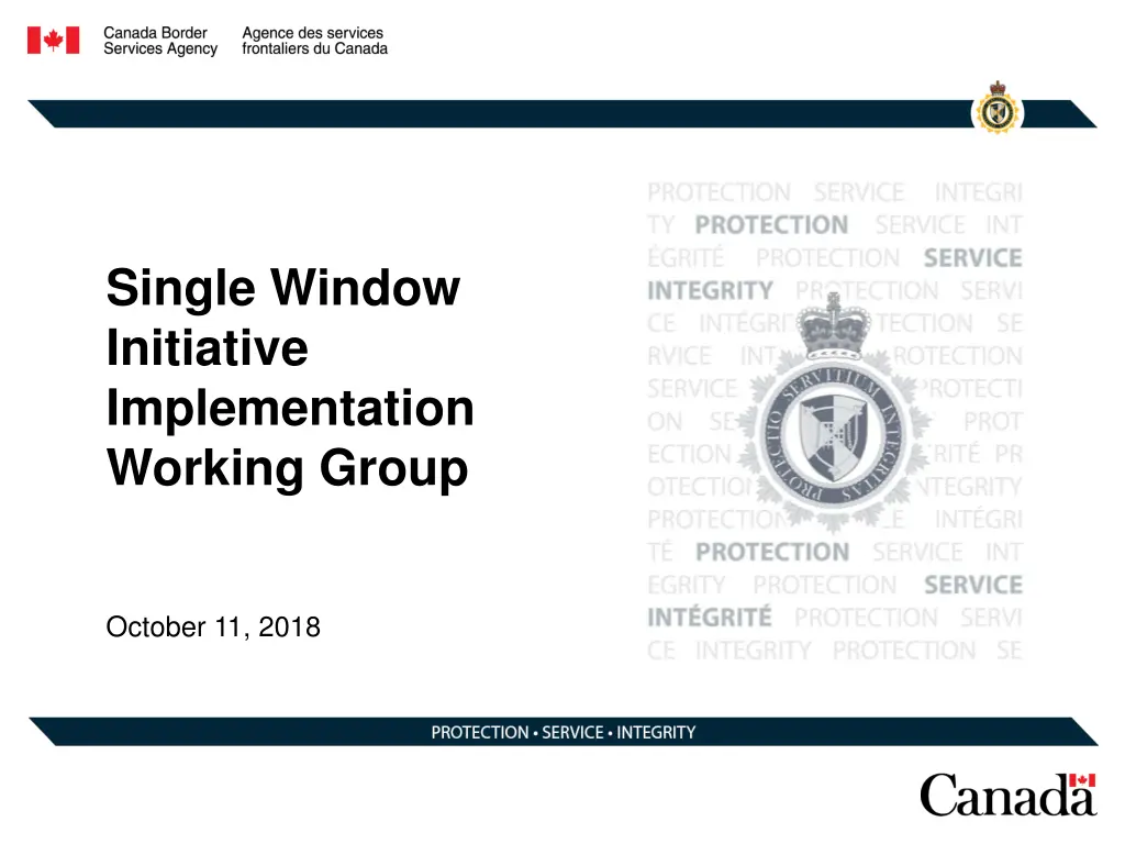 single window initiative implementation working n.w