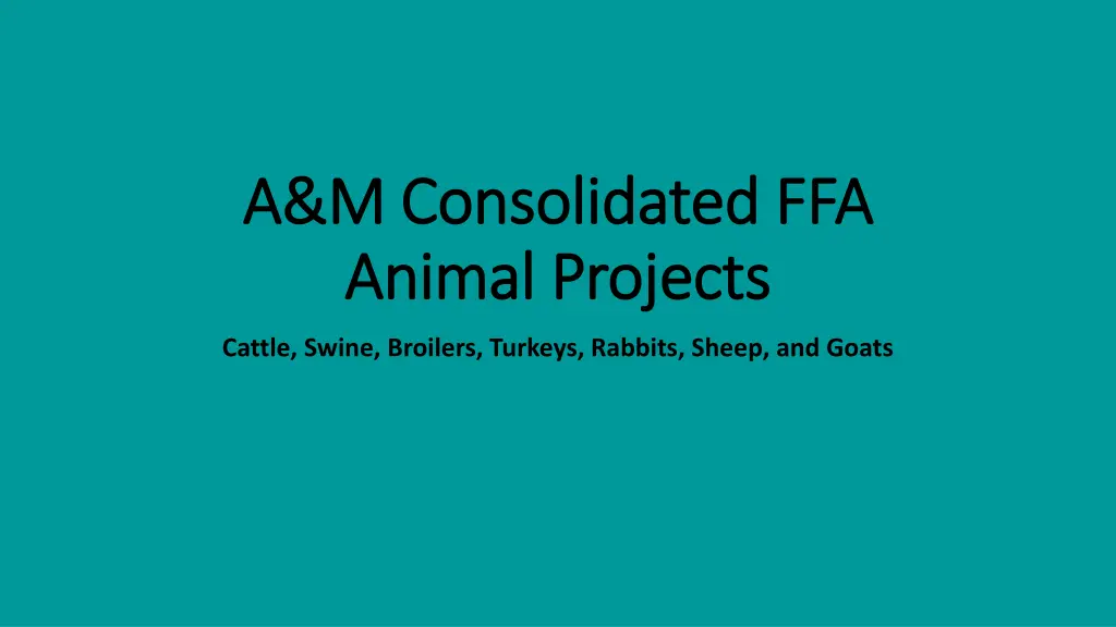a m consolidated ffa a m consolidated ffa animal n.w