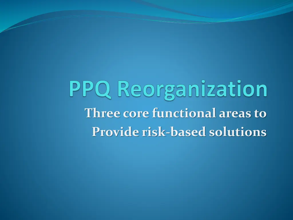 three core functional areas to provide risk based n.w