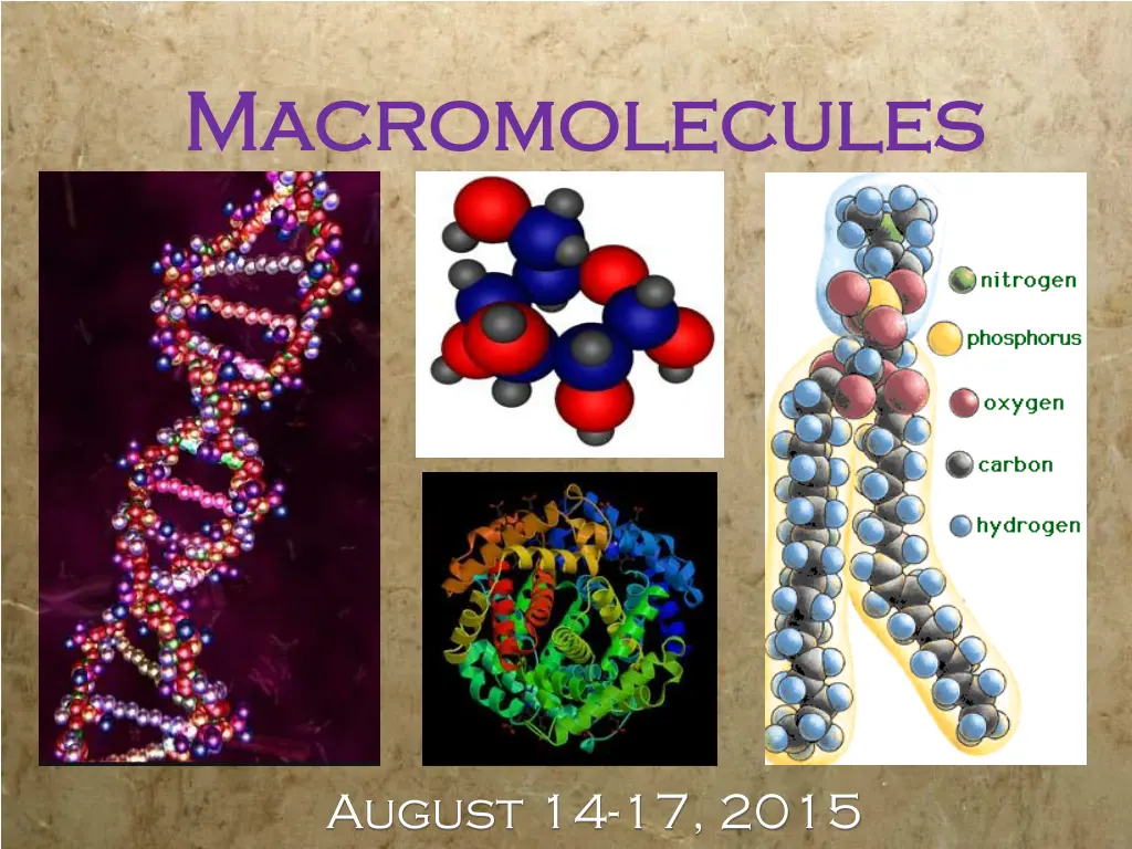 macromolecules macromolecules n.w