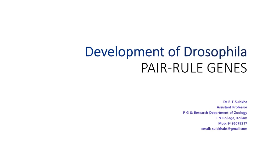 development of drosophila development n.w