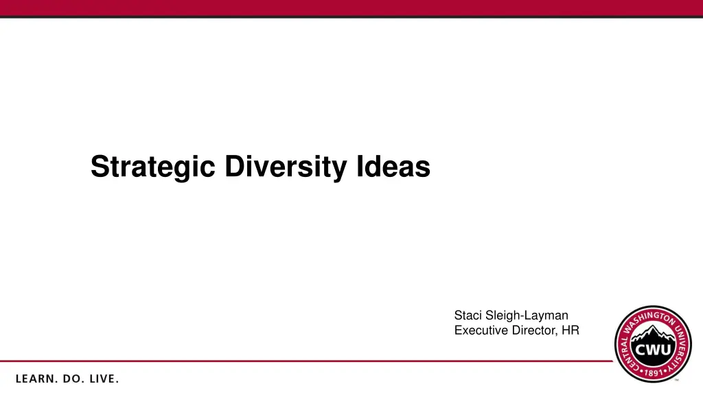 strategic diversity ideas n.w