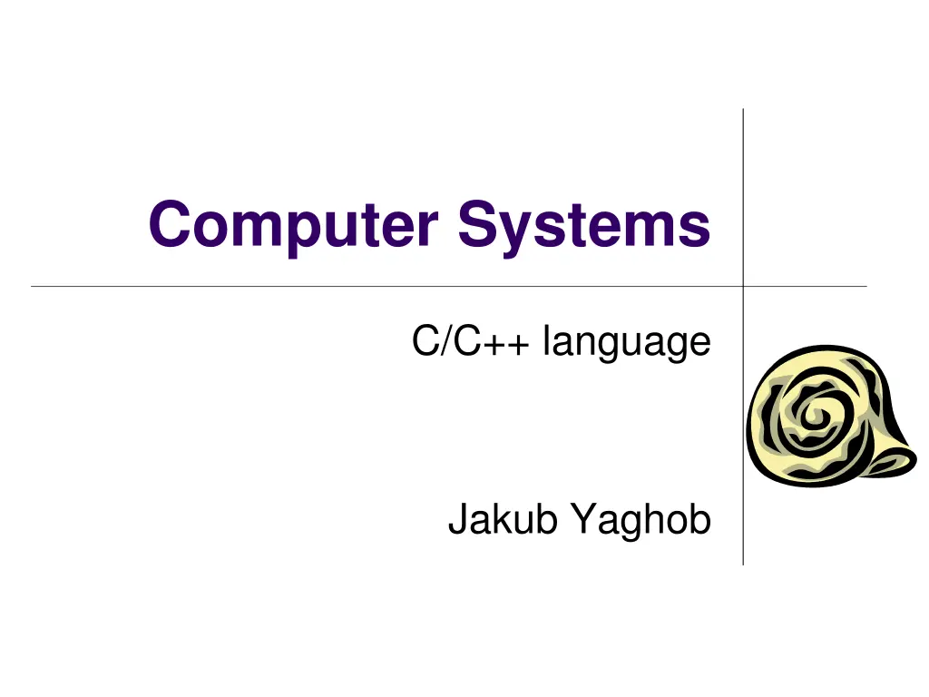 computer systems n.w