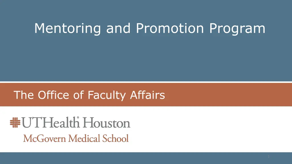 mentoring and promotion program n.w