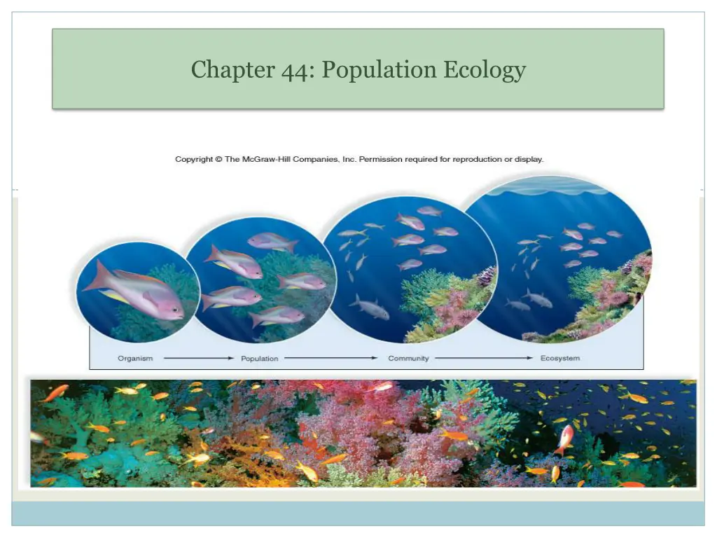chapter 44 population ecology n.w