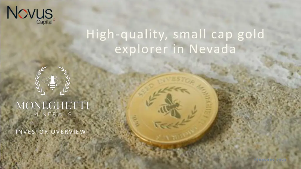 high quality small cap gold explorer in nevada n.w