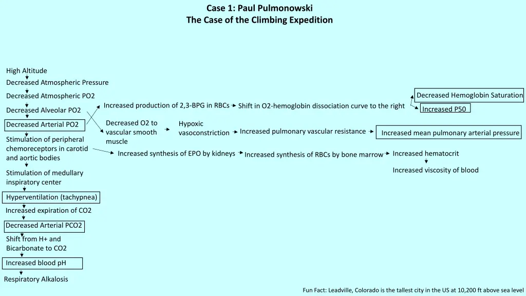 case 1 paul pulmonowski the case of the climbing n.w