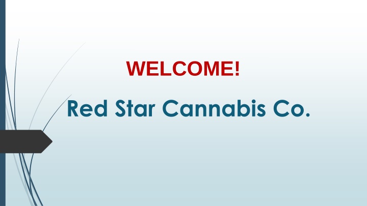Best Marijuana Shop in Stonehaven