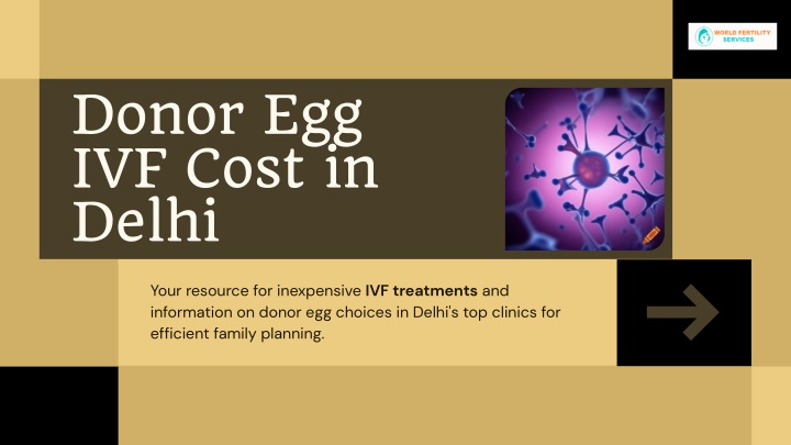 donor egg ivf cost in delhi n.w
