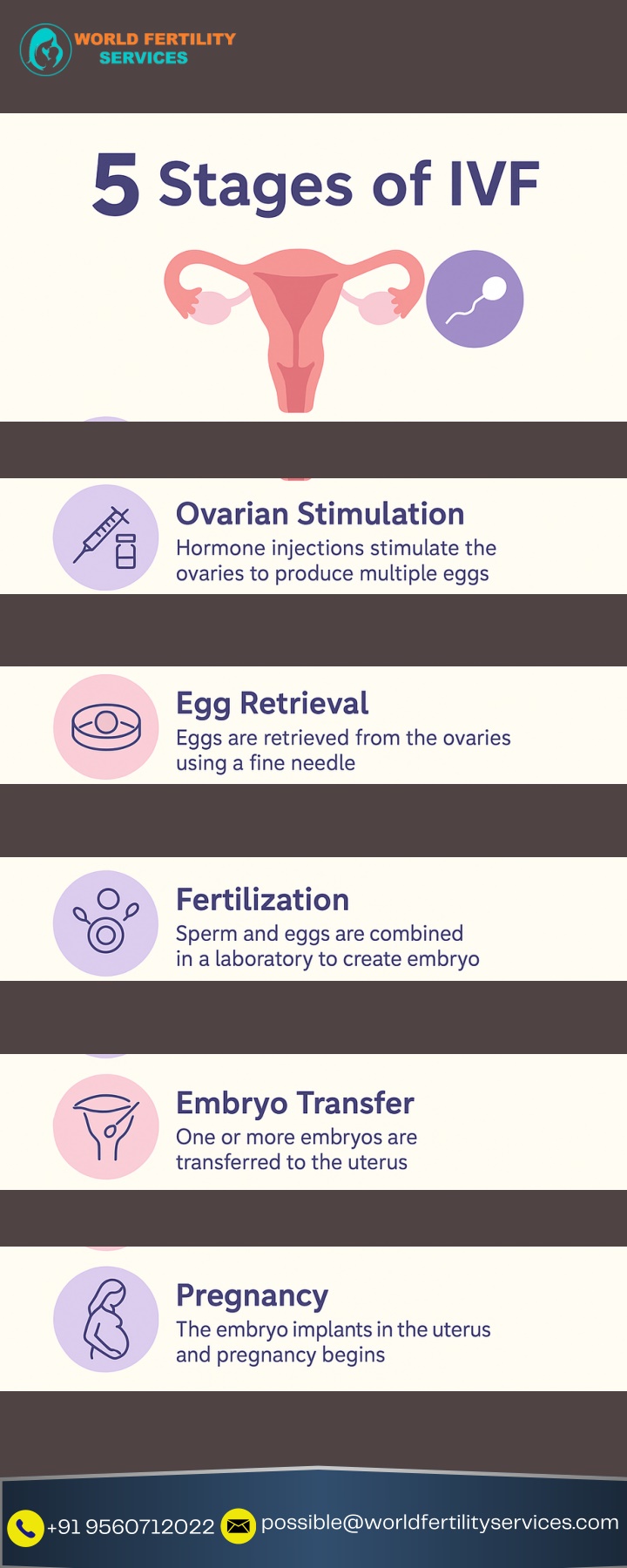 possible@worldfertilityservices com n.w